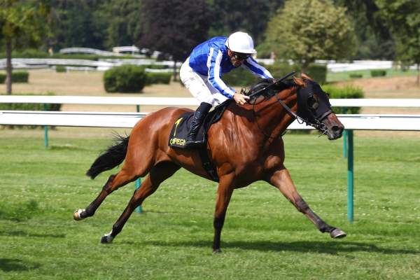 Photo de THING FOR THE HOT cheval de PLAT