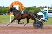 La photo de Kimmajo Arrivée pmu Grand National des Amateurs à Châteaubriant