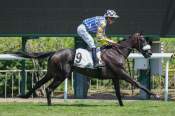 La photo de Queen Lagertha Arrivée pmu Prix de Saint-Germain en Laye à Sain-Cloud