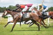 La photo de Rastagora Arrivée pmu Prix Century 21 Duprat & Associés à Mont-de-Marsan