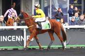 La photo de Native D'auvers 
