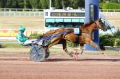 La photo de Maverick De Fael Arrivée Quinté+ Pmu Prix De Picpus à Enghien