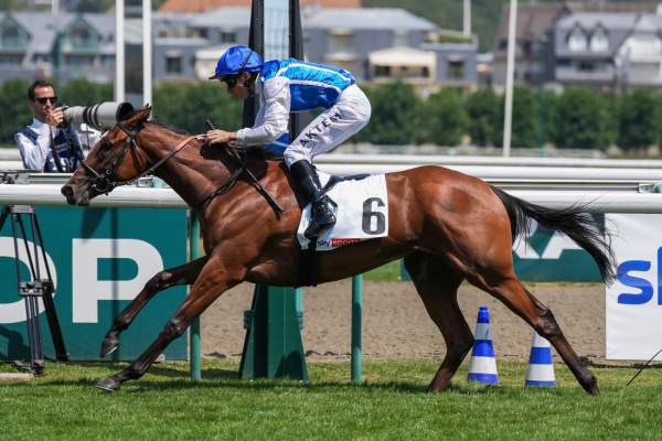 Photo de DATA cheval de PLAT
