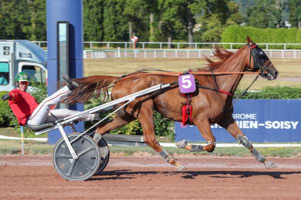 Photo de LOTUS MADRIK cheval de TROT ATTELE