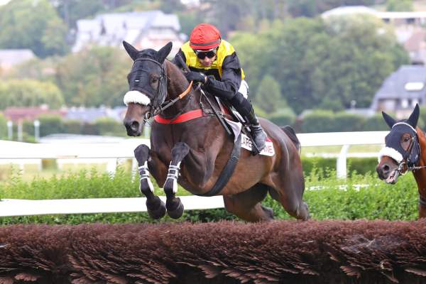 Photo de MACALO DE GREZ cheval de STEEPLE CHASE