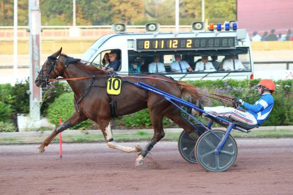 Photo de MUST DREAM cheval de TROT ATTELE