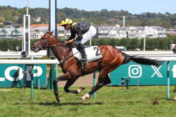 Photo de ROSBERG cheval de PLAT
