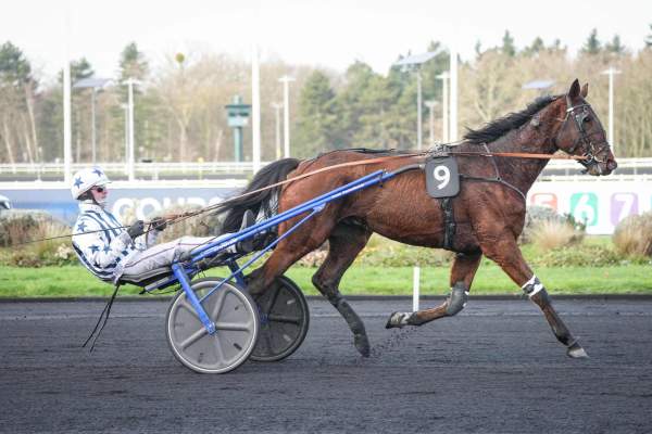 Photo de MAGIC DE BANVILLE cheval de TROT ATTELE