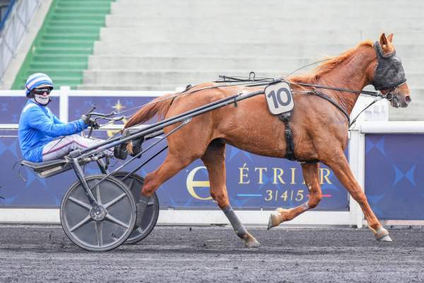 Photo de KONRAD DE CORDAY cheval de TROT ATTELE