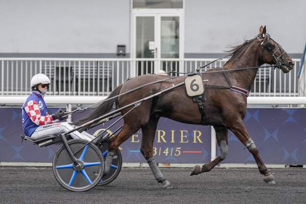 Photo de KEVIN PRINCE cheval de TROT ATTELE