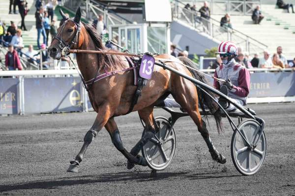 La photo de Magic Night Arrivée pmu Prix Guy Le Gonidec à Vincennes