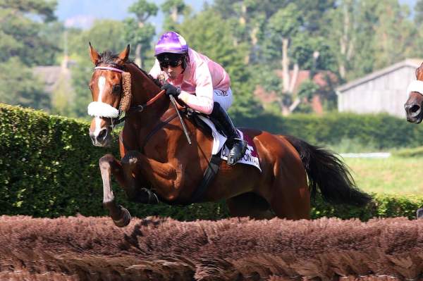 Photo de BEL ECLAT cheval de STEEPLE CHASE