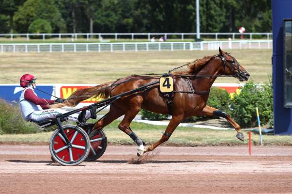Photo de ONYX D'AVRIL cheval de TROT ATTELE
