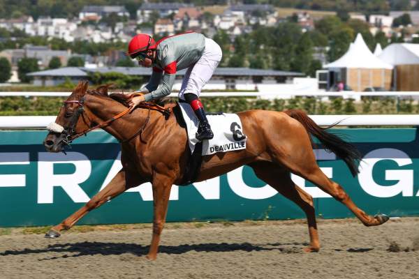 Photo de BELLA CIAO cheval de PLAT