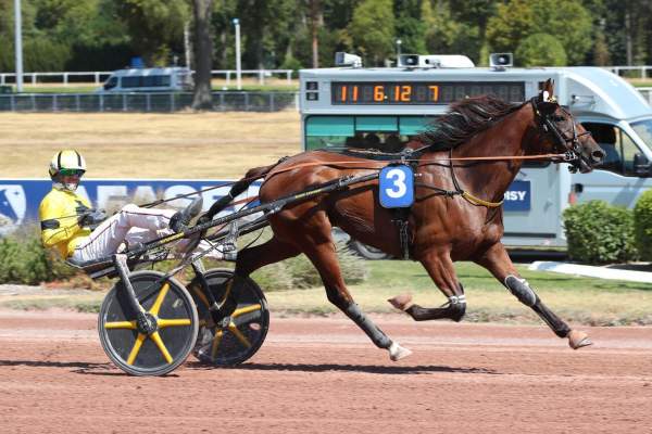 Photo de MAGISTRALO BELLO cheval de TROT ATTELE