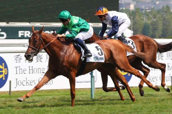 Photo de RABBIT'S FOOT cheval de PLAT