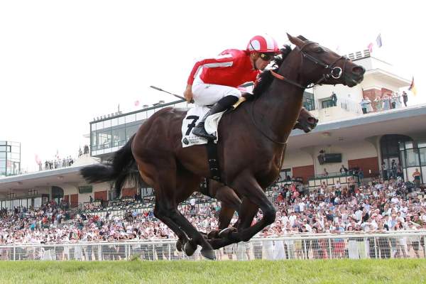 Photo de WIMBLEDON HAWKEYE cheval de PLAT