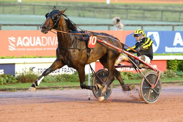 Photo de MINIMUM cheval de TROT ATTELE