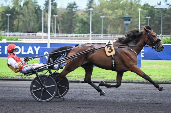 Photo de EMIRRE cheval de TROT ATTELE