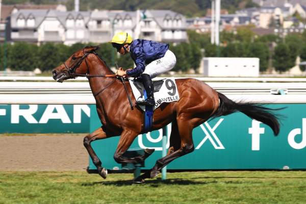 Photo de TORTSANLOT cheval de PLAT