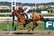 La photo de Bella Ciao Arrivée pmu Prix de Saint-Symphorien à Deauville