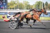 La photo de Just De L'oison Arrivée pmu Prix de Provence (Gr.III) à Vincennes