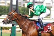 La photo de Hm Alchahine Arrivée PMU Doha Cup - Prix Manganate à Deauville