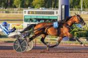 La photo de Mohawk Arrivée Quinté+ Pmu Prix des Pyramides à Enghien