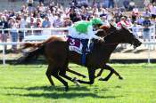 La photo de Kyoto Spirit