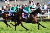La photo de Darzakir