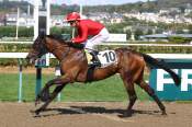 La photo de Tomoe Gozen Arrivée pmu Prix des Hêtres à Deauville