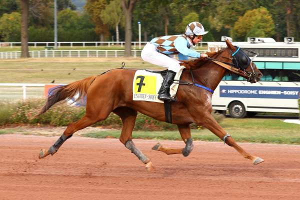 Photo de JILANZA DU MOULIN cheval de TROT MONTE