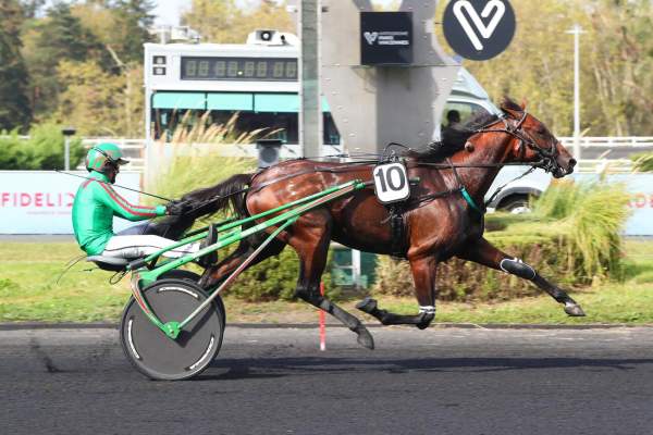 Photo de NOBEL DU RIB cheval de TROT ATTELE