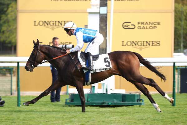 La photo de Phineas Arrivée pmu Prix du Prince d'Orange (Gr.III) à Longchamp