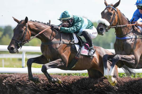 Photo de NALKO DES MOTTES cheval de STEEPLE CHASE