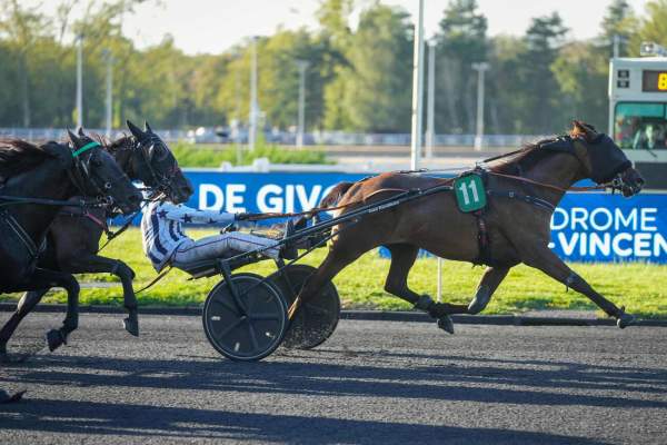 Photo de NEPTUNA cheval de TROT ATTELE