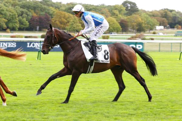 Photo de JUMEAU cheval de PLAT