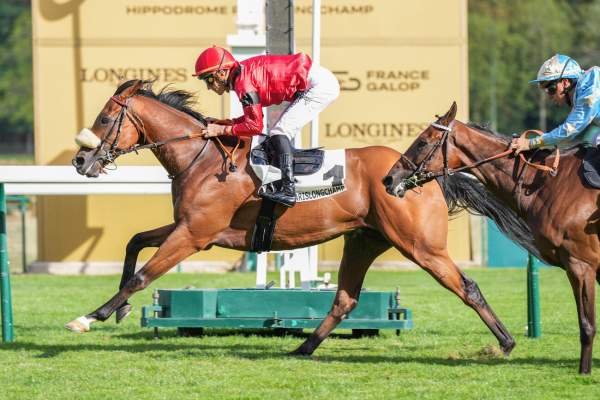 Photo de LOUXOR PONTADOUR cheval de PLAT