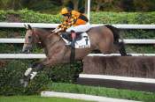 La photo de Flonis Arrivée pmu Prix Mid Dancer à Auteuil