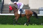 La photo de Kendaro