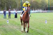 La photo de Mighty Boy