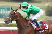 La photo de Hm Alchahine Arrivée PMU Qatar Cup - Prix Dragon 2026 à ParisLongchamp