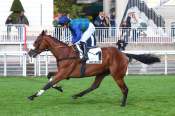 La photo de Huron Bleu Arrivée du Prix Robert Lejeune 2026 à Auteuil
