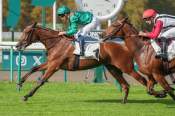 La photo de Shandiyana Arrivée pmu Prix de Toutevoie à Chantilly