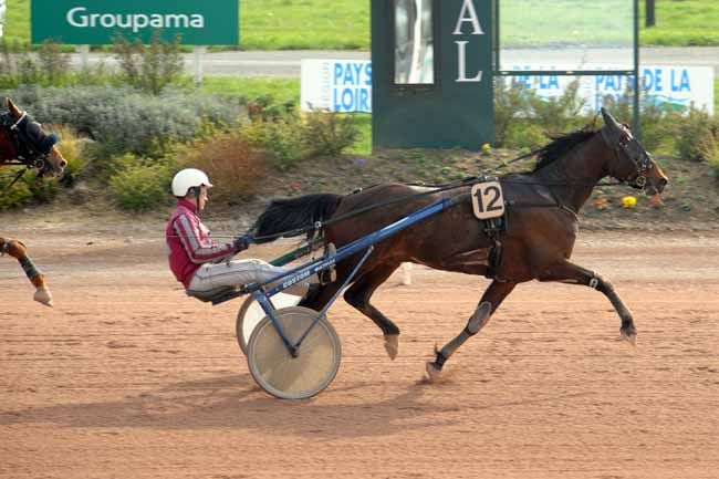 Arrivée quinté pmu PRIX LES TABLES DE LA MAYENNE à LAVAL