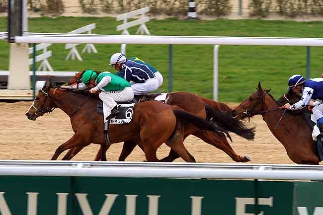 Arrivée quinté pmu PRIX RONDE DE NUIT à DEAUVILLE
