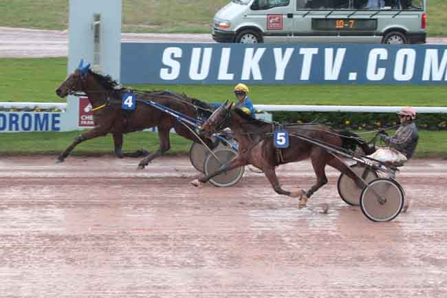 Arrivée quinté pmu PRIX DE SAINT-WANDRILLE à CAEN