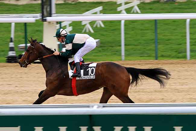 Arrivée quinté pmu PRIX DE LA CHESNAYE à DEAUVILLE