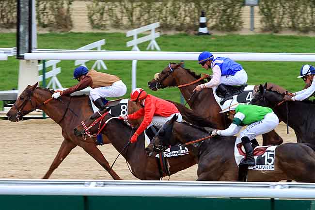 Arrivée quinté pmu PRIX DE LA FORET DE BORD à DEAUVILLE