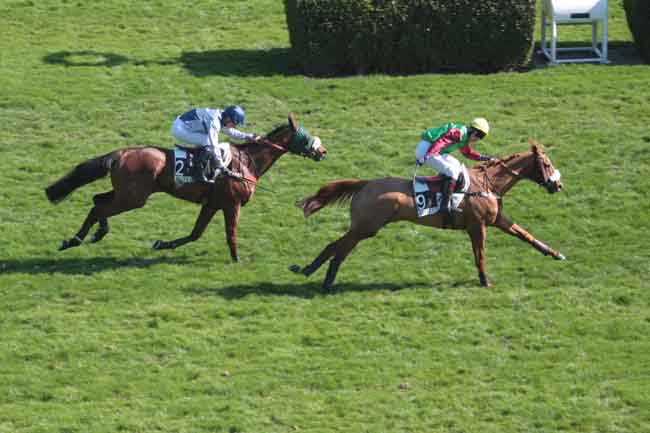 Arrivée quinté pmu PRIX COLONEL DE LA HORIE à AUTEUIL